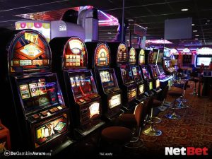 lqqbet - Plataforma Oficial App